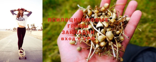 а пвп мука Алексеевка